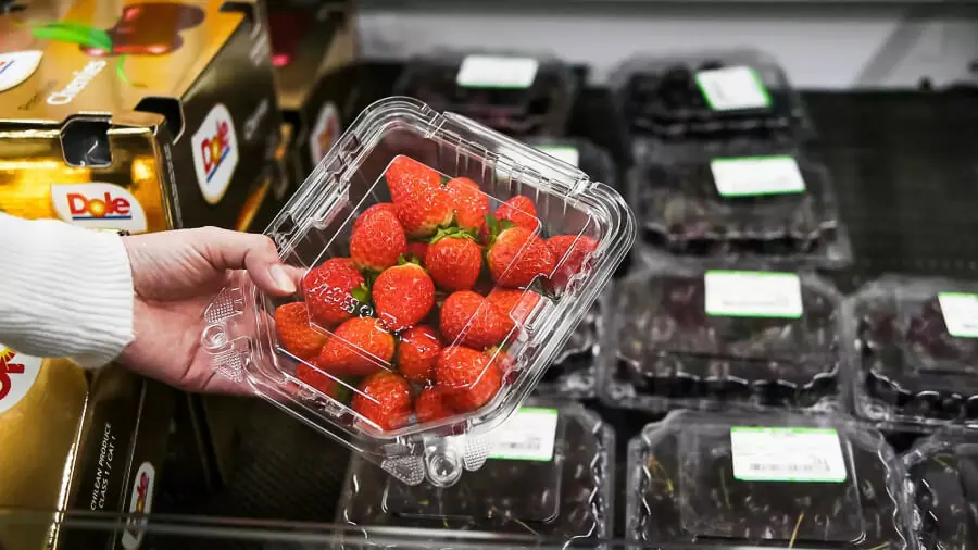 South Plastic Gallery